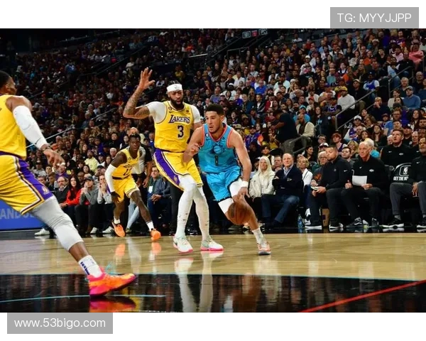 福克斯左侧内收肌紧绷，明日对阵爵士出战成疑引关注赛前伤情更新